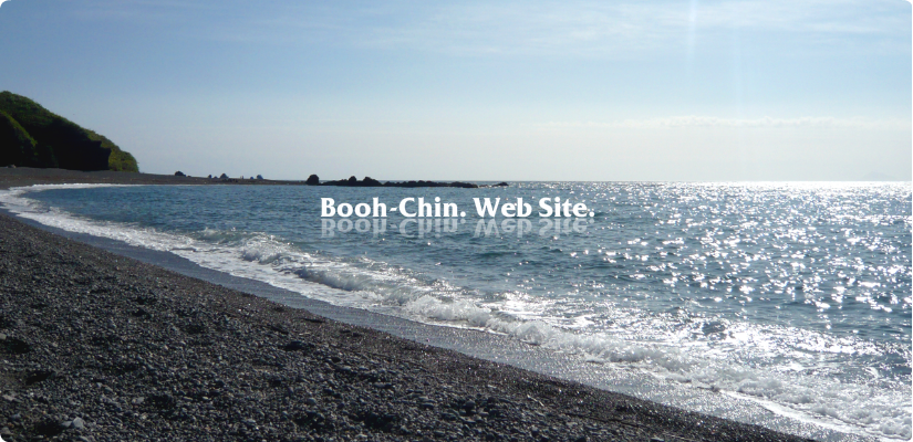 Booh-Chin Web Site